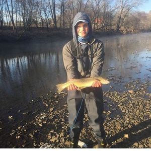 Meet your Posher, Jacob